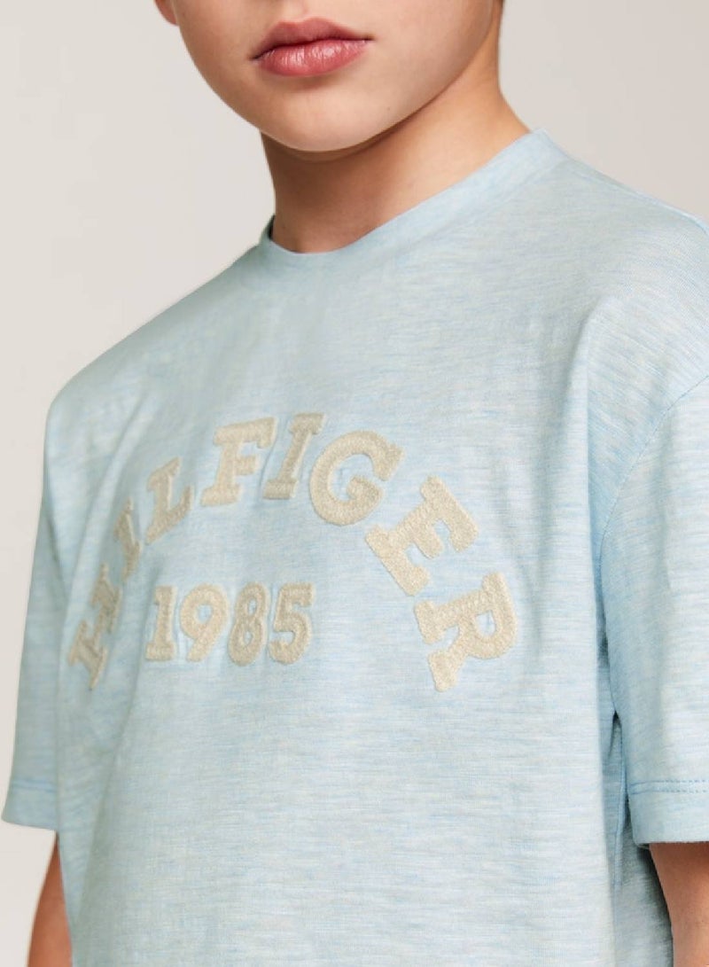 Boys' Hilfiger Monotype 1985 Collection T-Shirt -  Pure organic cotton, Blue