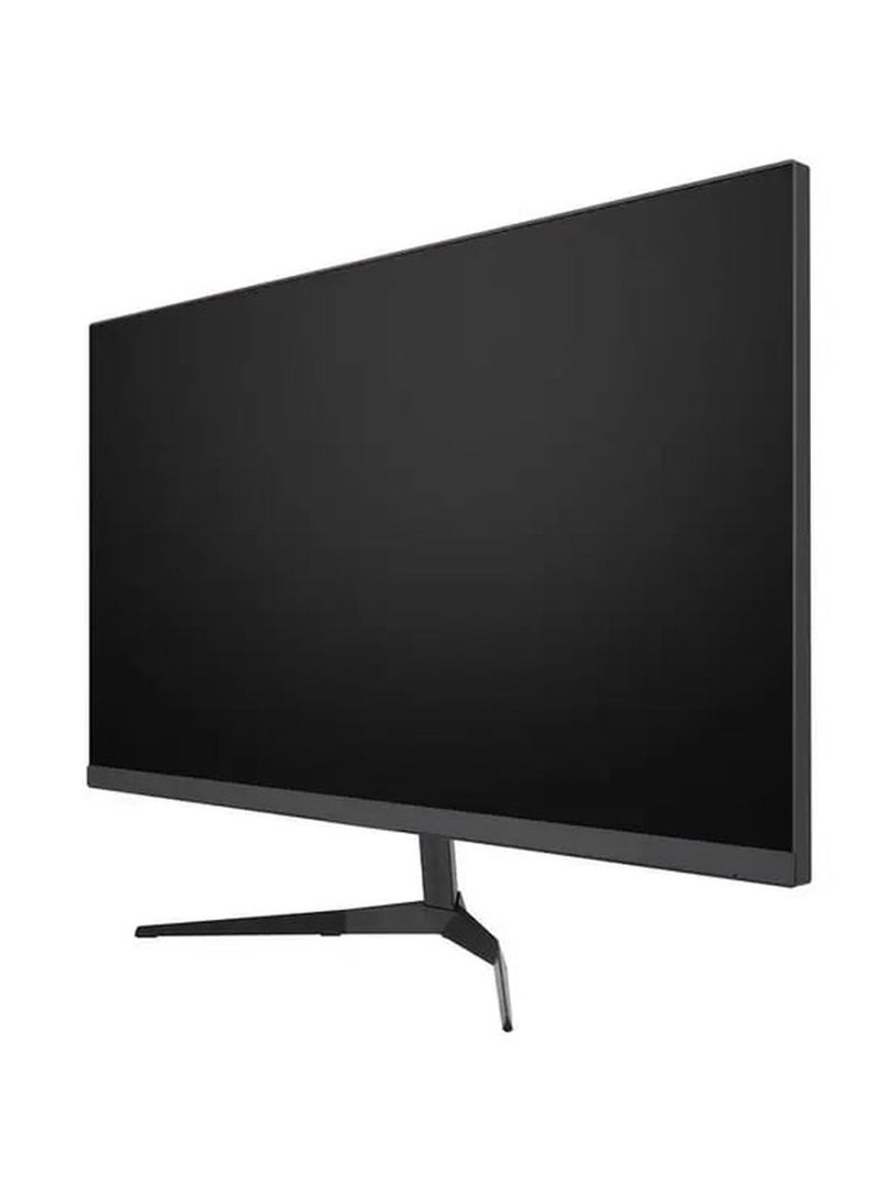 Gaming monitor 25