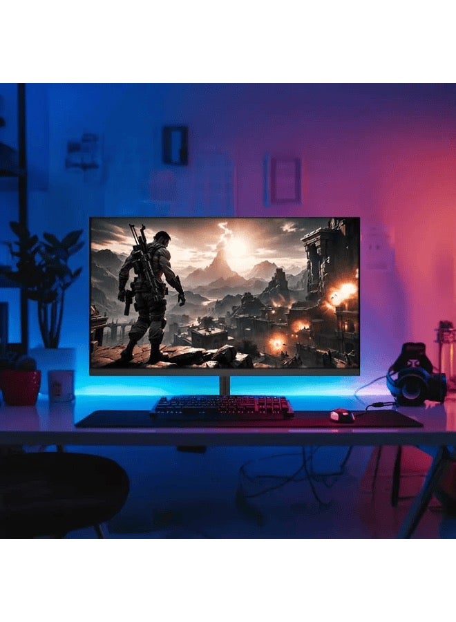 Gaming monitor 25