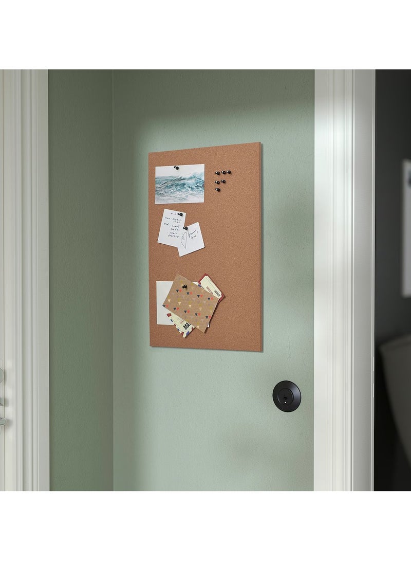 Memo Board With Pins Cork For Office And Home To Gather Notes, Reminders, Pictures And Prints 52x33 cm