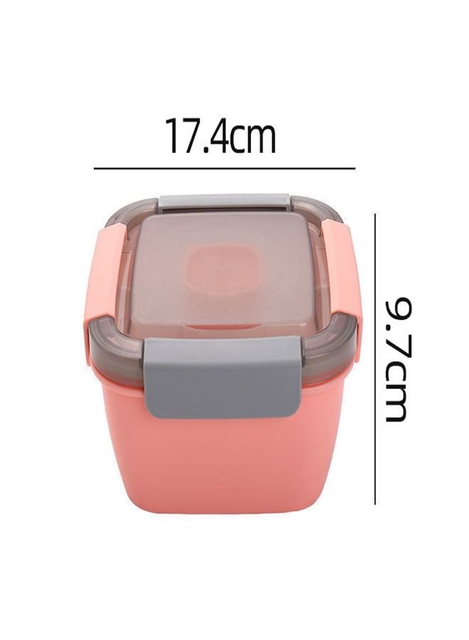 Double Plastic Small Compartment Lunch Box Pink