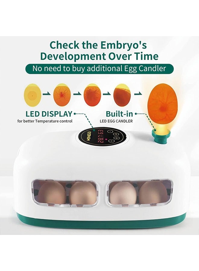 Egg Incubator, 8 Eggs Poultry Hatcher with Humidity Temperature Control, Led Candler and Display, Mini Chicken Incubator for Hatching Chicks, Quail Duck Goose Bird Turkey Eggs