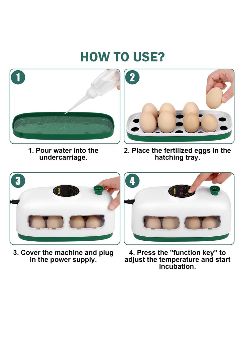 Mini Egg Incubator for 8 Eggs - Poultry Hatcher with Humidity & Temperature Control for Chickens, Quail, Ducks & More (White)