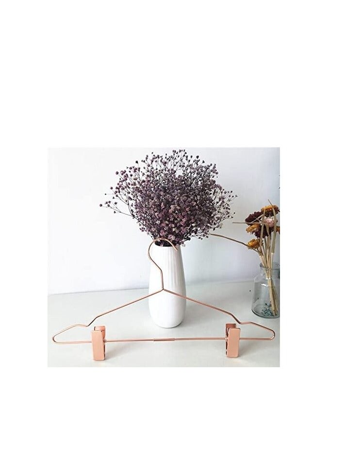 Red Dot Gift 10-Pack Metal Hangers & Clips 16.8 Inch Plated Metal Hanger For Storage & Display (Gold, 10)