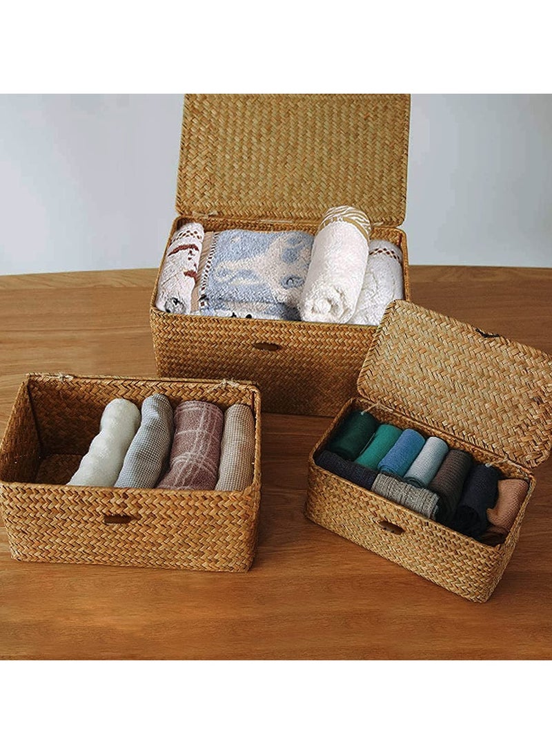 Seaweed Baskets with Lid 3pcs Woven Seagrass Baskets Brown