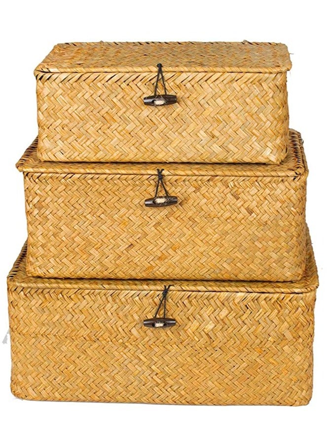 Handwoven Storage Basket Set of 3pcs