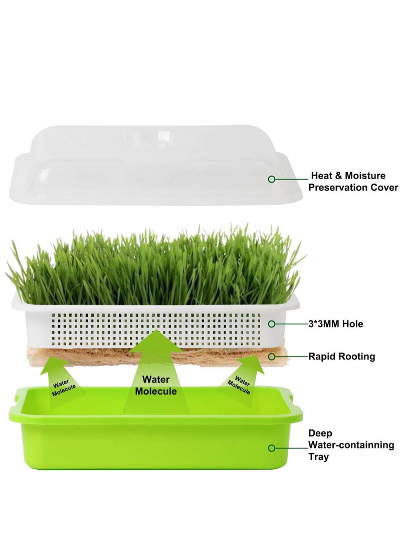 Combo Pack of 6PC Healthy Wheatgrass Sprouting Kit: BPA-Free Seed Germination Tray with Lid for Large Capacity, Soil-Free Growth (32X24X12Cm)