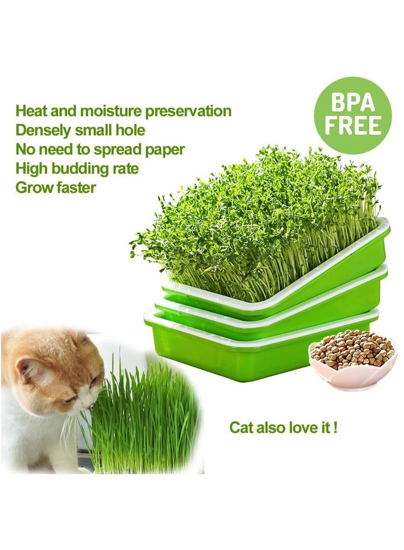 Combo Pack of 6PC Healthy Wheatgrass Sprouting Kit: BPA-Free Seed Germination Tray with Lid for Large Capacity, Soil-Free Growth (32X24X12Cm)