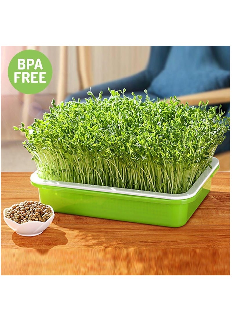Combo Pack of 6PC Healthy Wheatgrass Sprouting Kit: BPA-Free Seed Germination Tray with Lid for Large Capacity, Soil-Free Growth (32X24X12Cm)