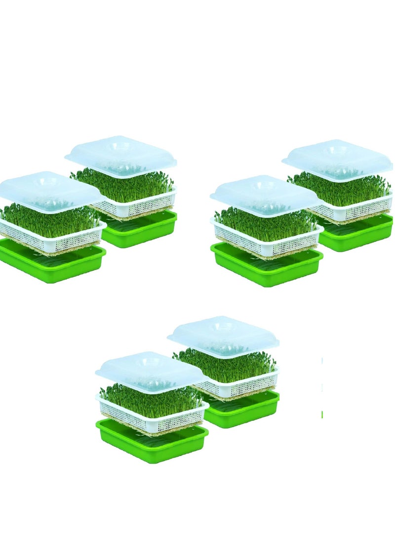 Combo Pack of 6PC Healthy Wheatgrass Sprouting Kit: BPA-Free Seed Germination Tray with Lid for Large Capacity, Soil-Free Growth (32X24X12Cm)