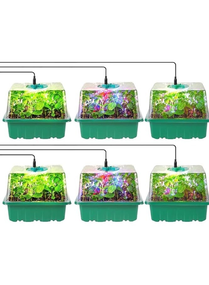 Seed Germination Kit with LED-Lit Humidity Dome, Drainage Tray, and 6-Cell Plant Starter Tray