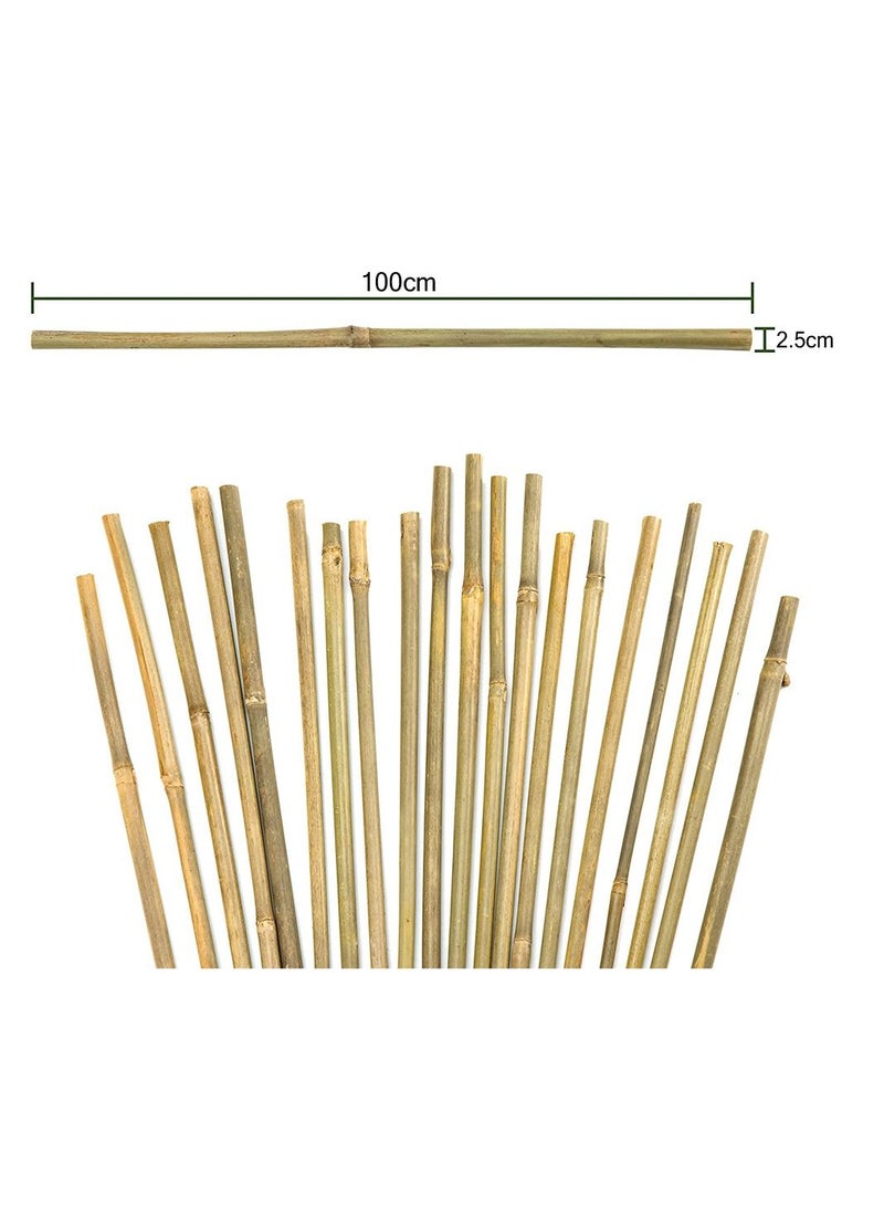 Pack Of 20 Natural Thick Decoratiev Bamboo pols 100cm Tall Garden Floral Plants Flowers Vine Support Bamboo Rod Support Sticks Eco-Friendly