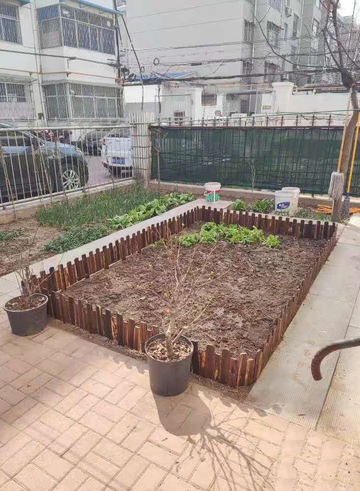 Wooden Picket Fence Brown 120x30cm