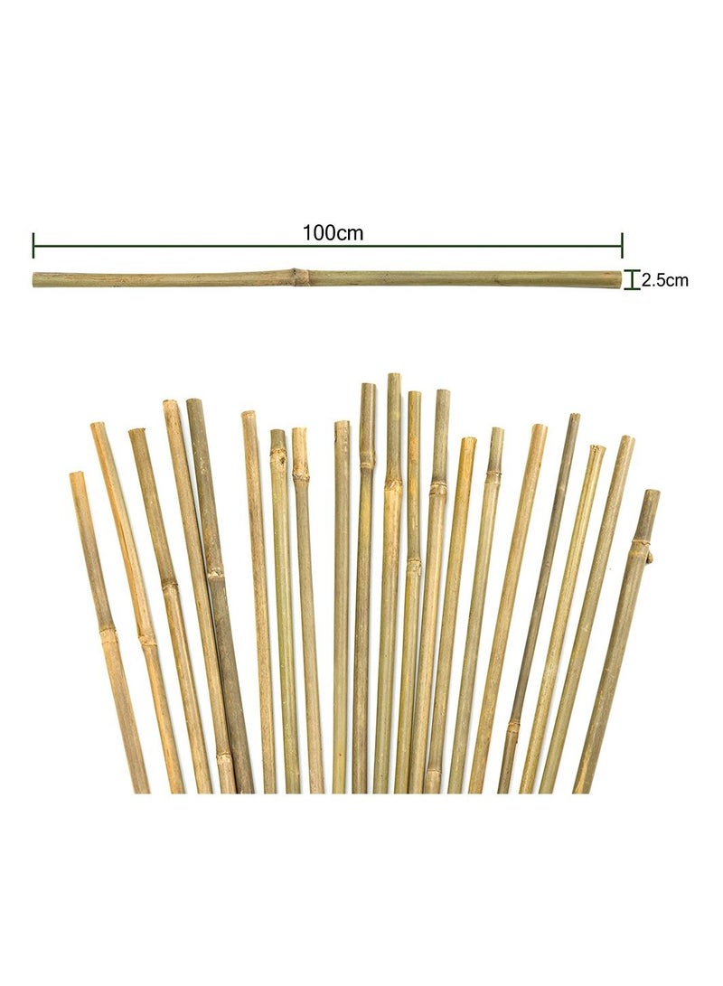 Natural Thick Bamboo Stakes Tall Garden Plant Stakes Flowers Vine Plants Support Garden Canes Poles Stakes Bamboo Rod Support Sticks 10pcs