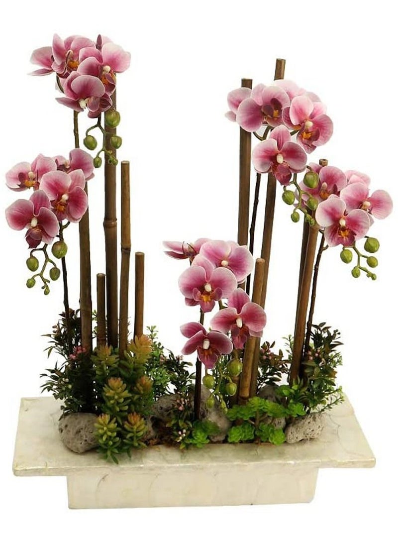 Bamboo Pole Plant Support Stake Stick Garden Stake