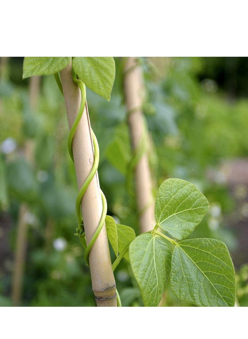 Natural Bamboo Poles Bamboo Stake For Plant Support 120cm Bamboo Garden Poles Strong Gardening Sticks Bamboo Poles For Indoors or Outdoors 10pcs
