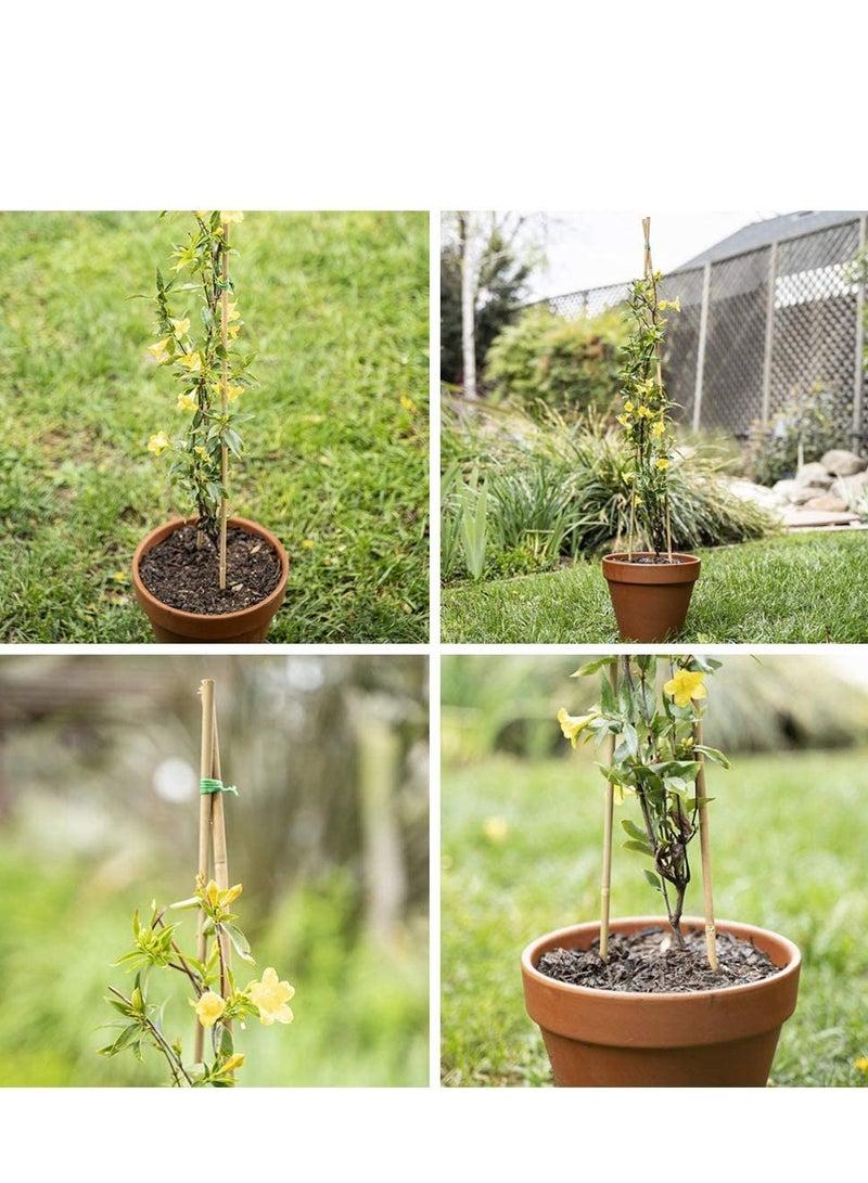Natural Bamboo Poles Bamboo Stake For Plant Support 120cm Bamboo Garden Poles Strong Gardening Sticks Bamboo Poles For Indoors or Outdoors 10pcs