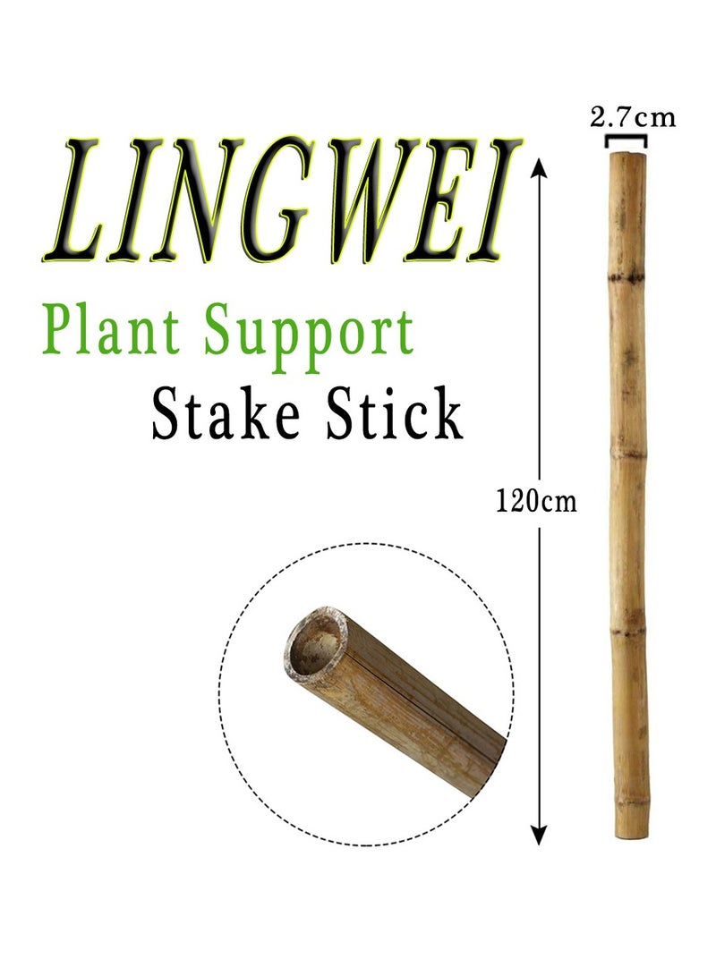 Natural Bamboo Poles Bamboo Stake For Plant Support 120cm Bamboo Garden Poles Strong Gardening Sticks Bamboo Poles For Indoors or Outdoors 10pcs