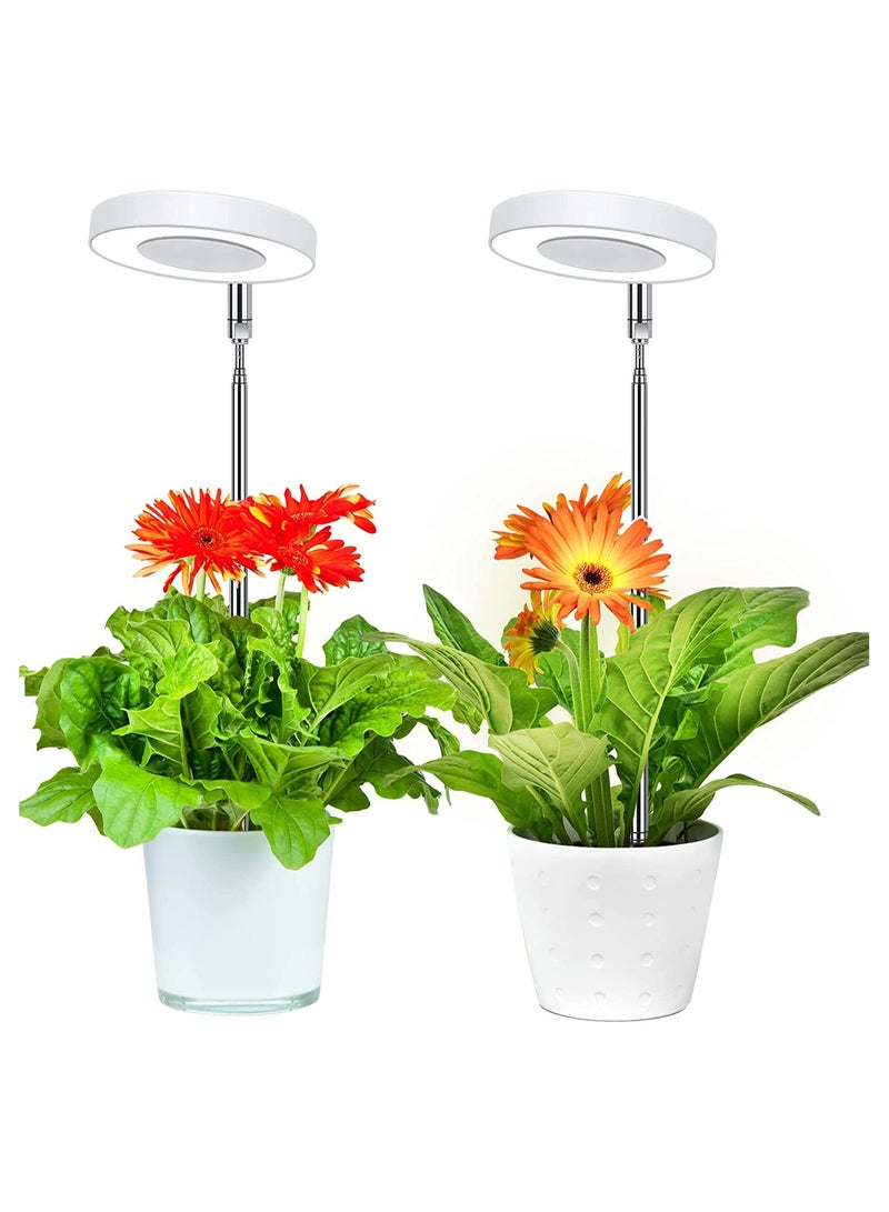 SYOSI LED Plant Lamp for Indoor, Full Spectrum 4 Brightness Plant Light with 2/4/8 Auto Timer, Height-Adjustable Growth Lamp for Seedlings and Succulents Flowers, Energy Class A, 2 Pcs, White