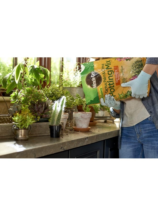 Cactus/Palm And Citrus Potting Mix (8Qt)