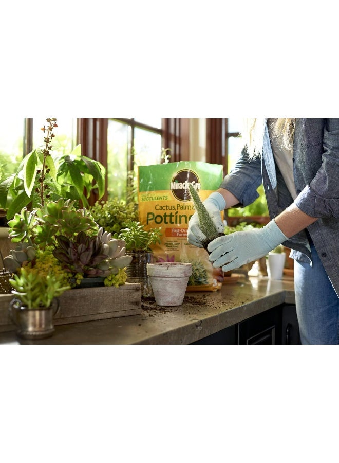 Cactus/Palm And Citrus Potting Mix (8Qt)