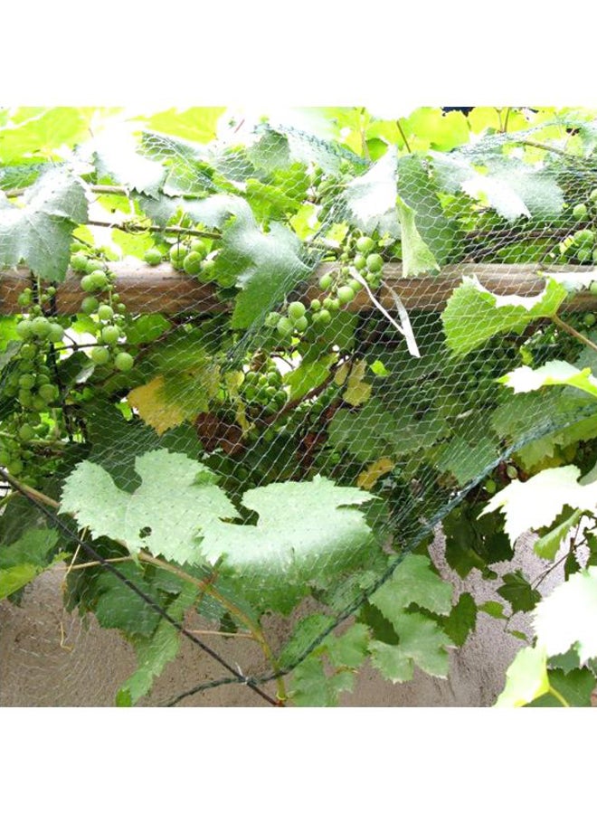 Anti Bird Protective Plant Covering Net Green 4x10meter