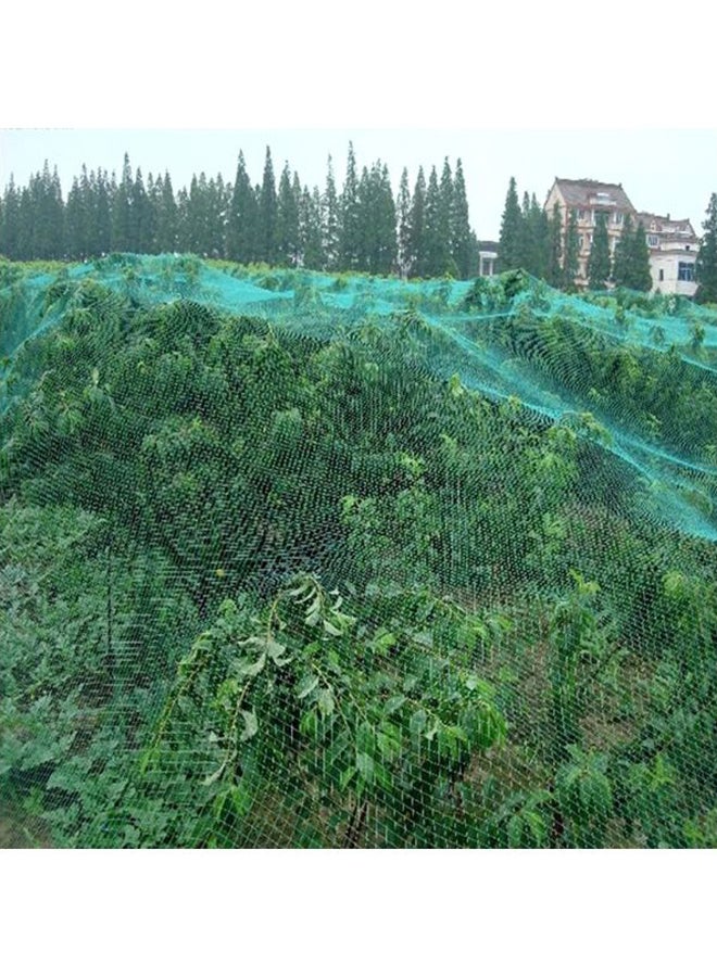 Anti Bird Protective Plant Covering Net Green 4x10meter