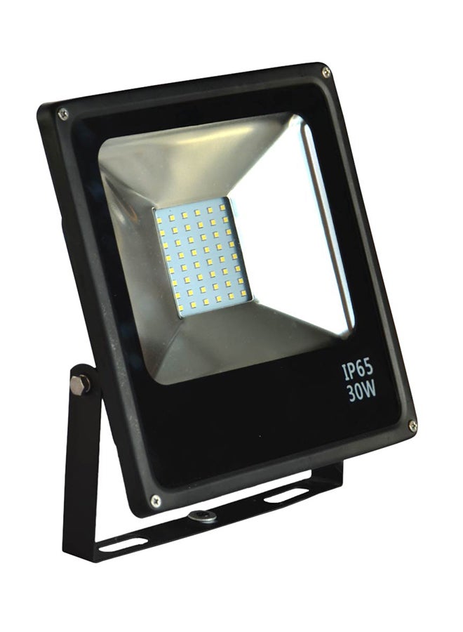 LED Flood Light 30W 6500K Green 22x23centimeter