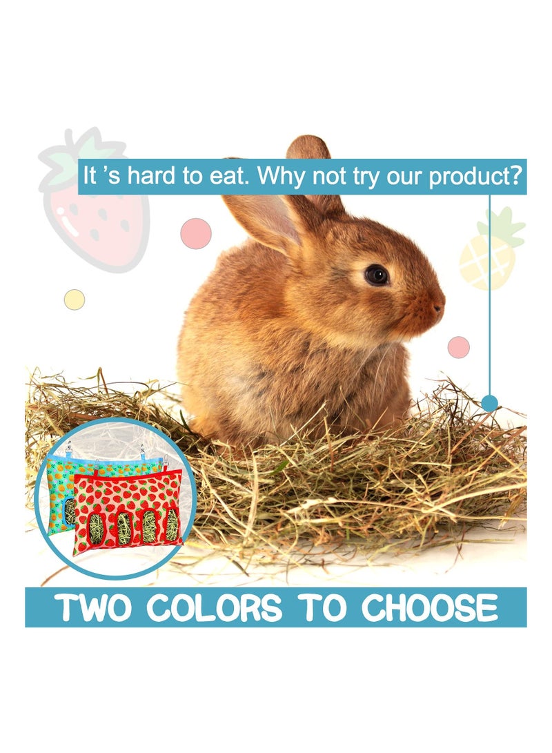 2 Pcs Rabbit Hay Feeder Bag, Hanging Feeding Storage Feeder Sack with 4 Holes for Small Animals Pets Bunny Hamster (Pineapple, Strawberry)
