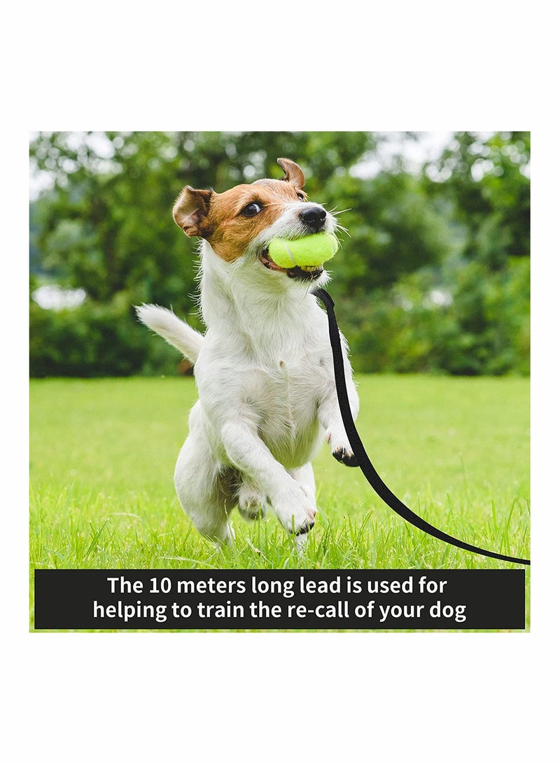Extra Long Line Training Dog Leash, Long Lead For Large, Medium and Small Dogs Great for Training, Play, Camping, or Backyard, 10m