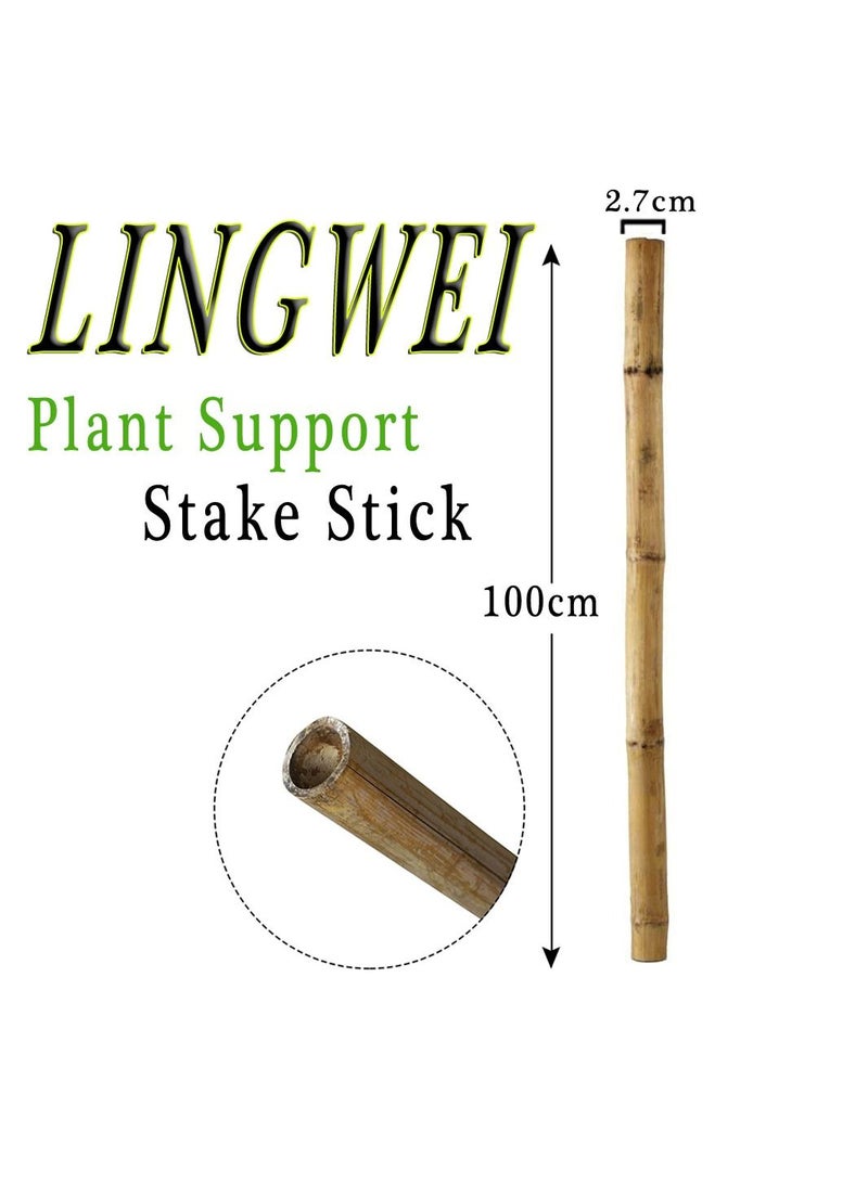 Natural Thick Bamboo Poles (100cm)Tall Garden Vine Plant Support Canes Stakes Flowers Plants Stakes((100cm)(20pcs))