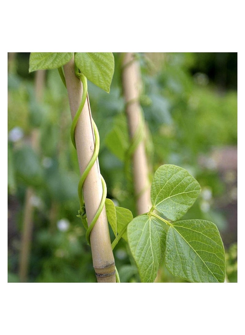 Natural Thick Bamboo Poles (100cm)Tall Garden Vine Plant Support Canes Stakes Flowers Plants Stakes((100cm)(20pcs))