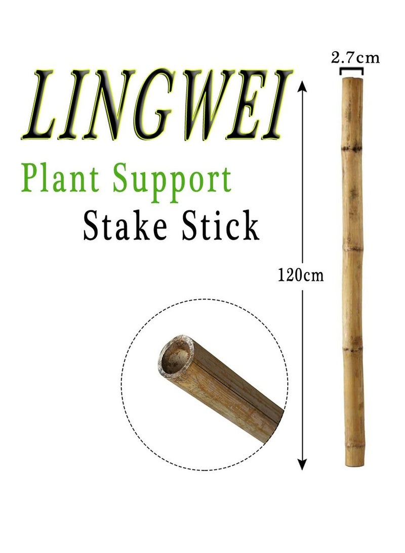 Natural Thick Bamboo Poles (120cm)Tall Garden Vine Plant Support Canes Stakes Flowers Plants Stakes((120cm)(20pcs))