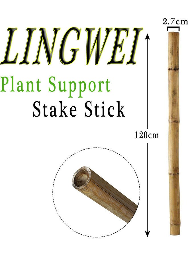 10-Piece Natural Thick Bamboo Stake Beige 120x2.7cm