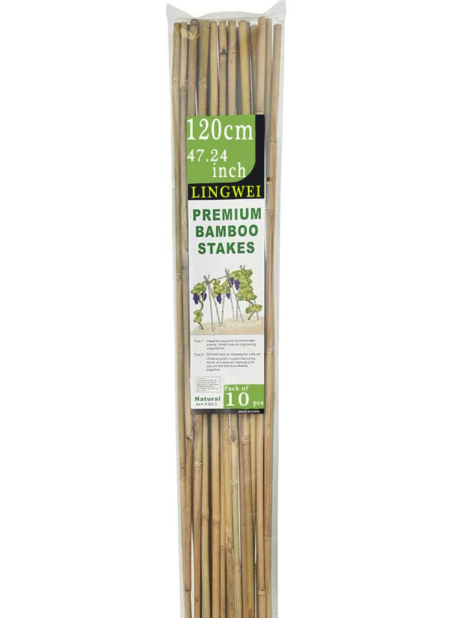 10-Piece Natural Thick Bamboo Stake Beige 120x2.7cm