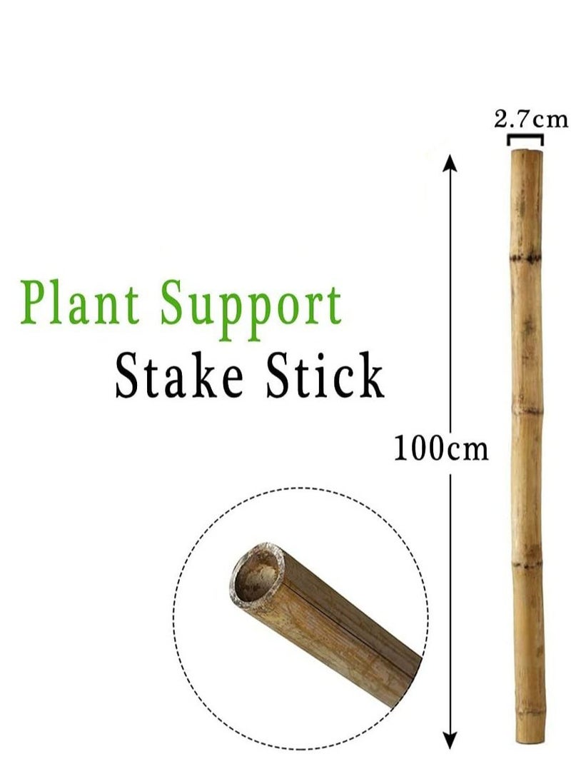 FFD 20 Pcs Natural Bamboo Poles Bamboo Stake for Plant Support 100cm Bamboo Garden Poles Strong Gardening Sticks Bamboo Poles for Indoors or Outdoors Climbing Plants Thick Bamboo Stake