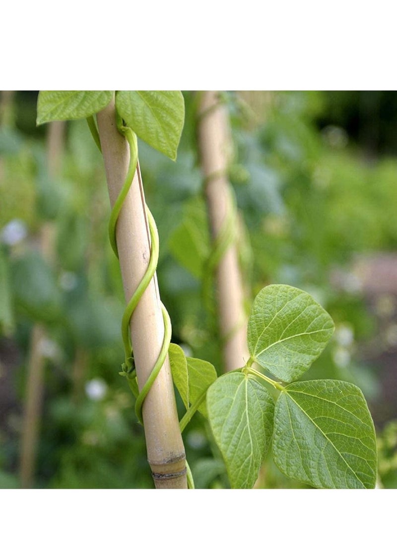 Bamboo Poles Garden Stacks Beige 2.5x120x2.5cm 10pcs