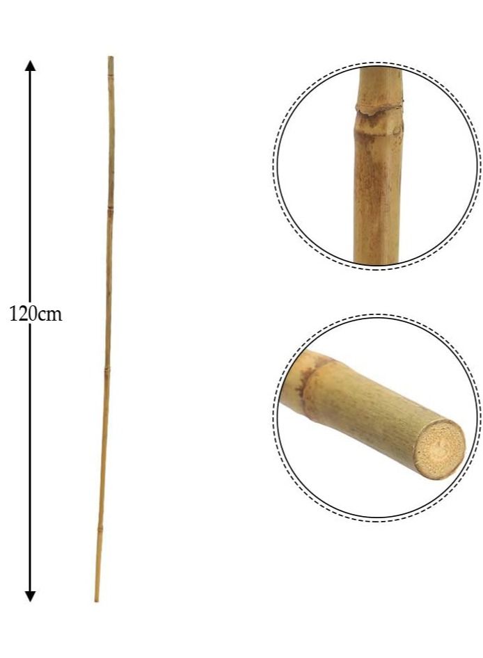 Bamboo Poles Garden Stacks Beige 2.5x120x2.5cm 10pcs