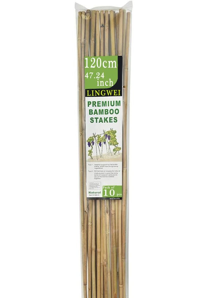 Bamboo Poles Garden Stacks Beige 2.5x120x2.5cm 10pcs