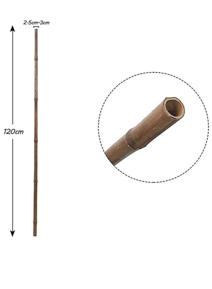 TOMSUN Bamboo Plant Stakes 120Cm - 10pcs Natural Garden Big Bamboo Long Sticks Plant Support Stakes for for Indoor and Outdoor Plants