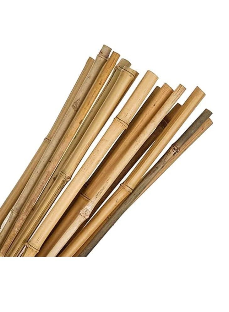 TOMSUN Natural Bamboo Garden Sticks 100 cm 10 pcs  Bamboo Poles for Climbing Plants Support