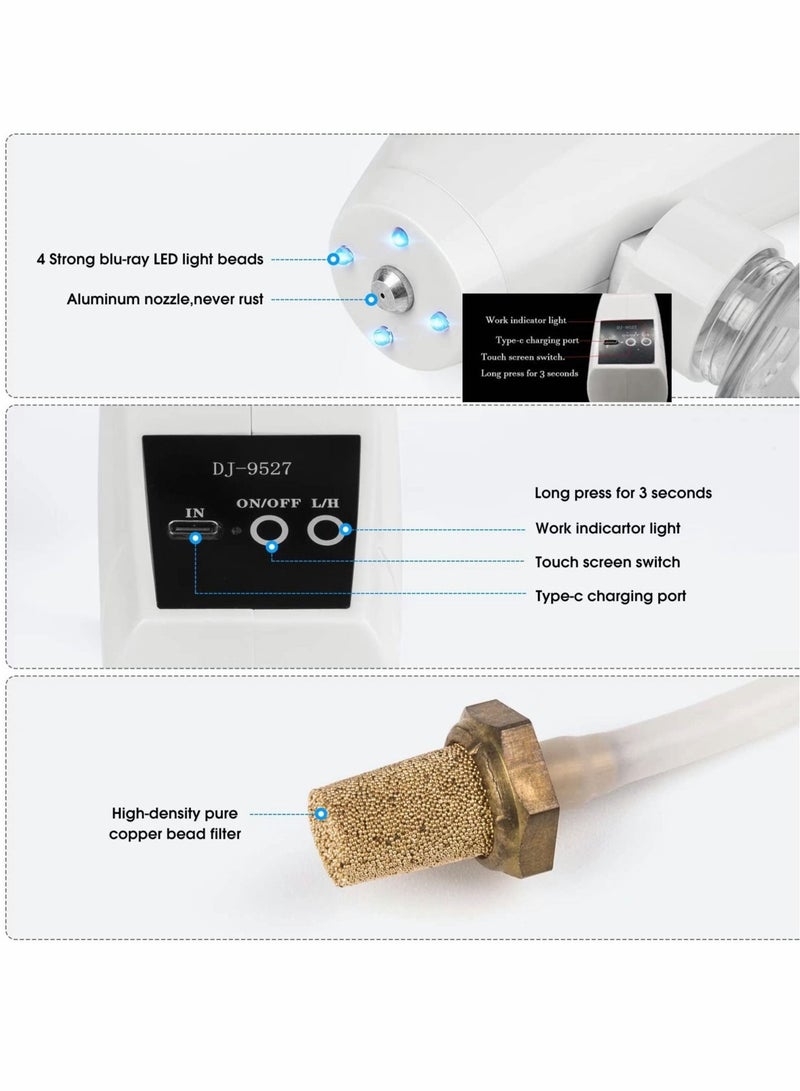 Portable Disinfectant Fogger, Handheld Rechargeable Nano Spray Fogger, Touch Screen Electric Sanitizer Spray Machine