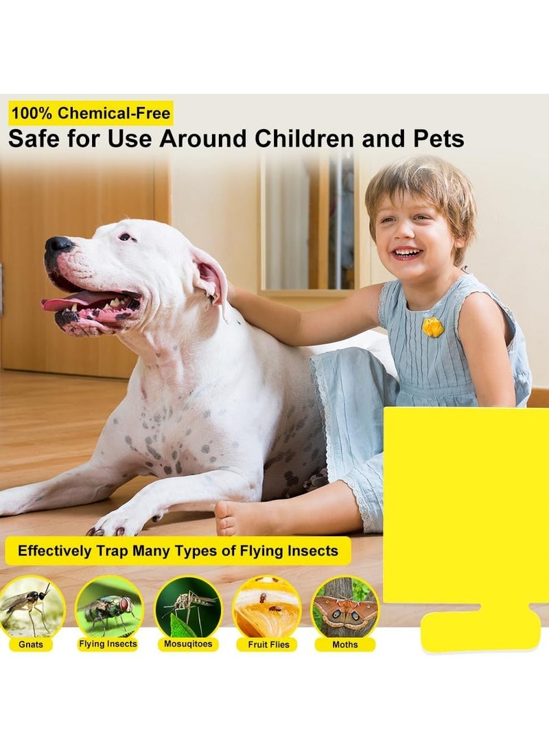 Flying Insect Trap Refill Kit 24 Pack Indoor Plug-in Fly Trap Refill Sticky Glue Cards Safe Non-Toxic Flying Insect Catcher Sticky Refill Kit for Flies Gnats Moths and Other Insects