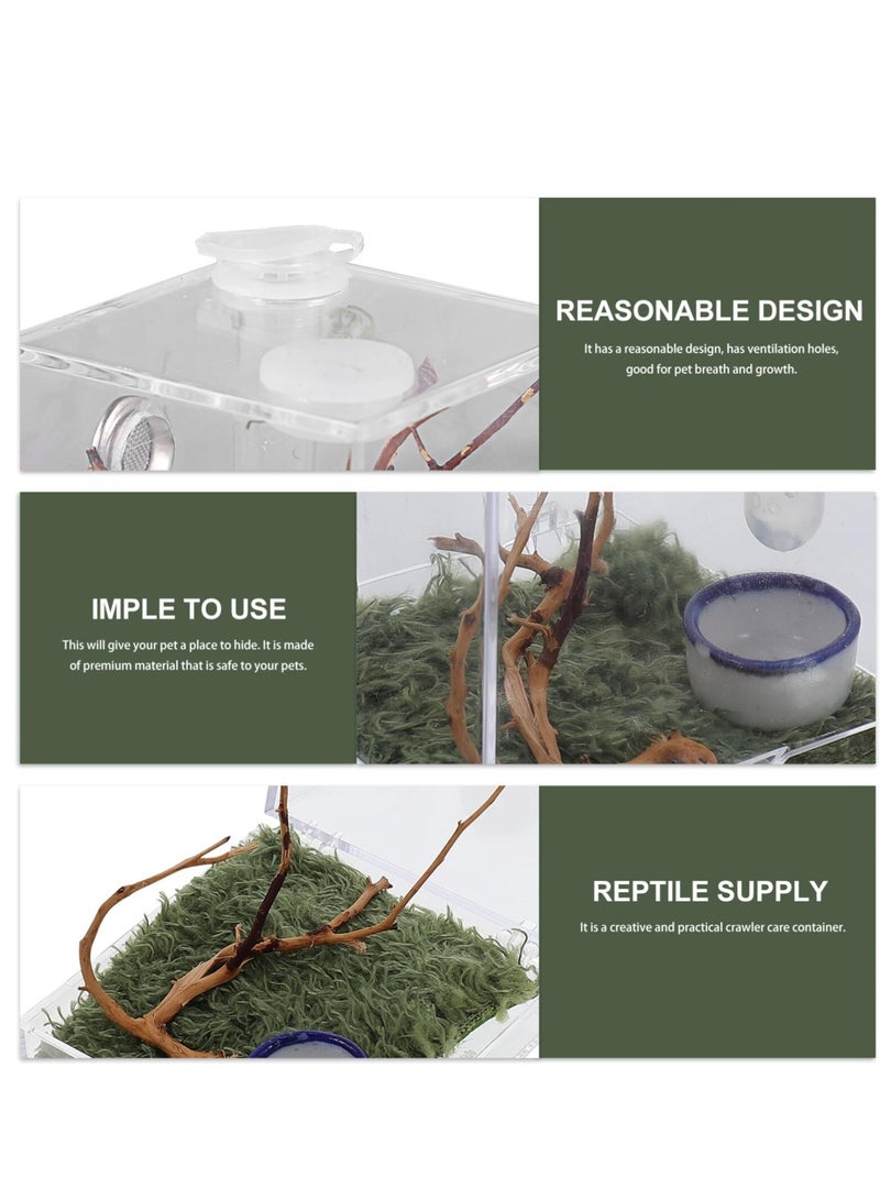 Spider Terrarium, Acrylic Reptile Breeding Box Jumping Spider Enclosure with Dropper Tongs for Tarantula Scorpion Sling Isopods Snake Gecko