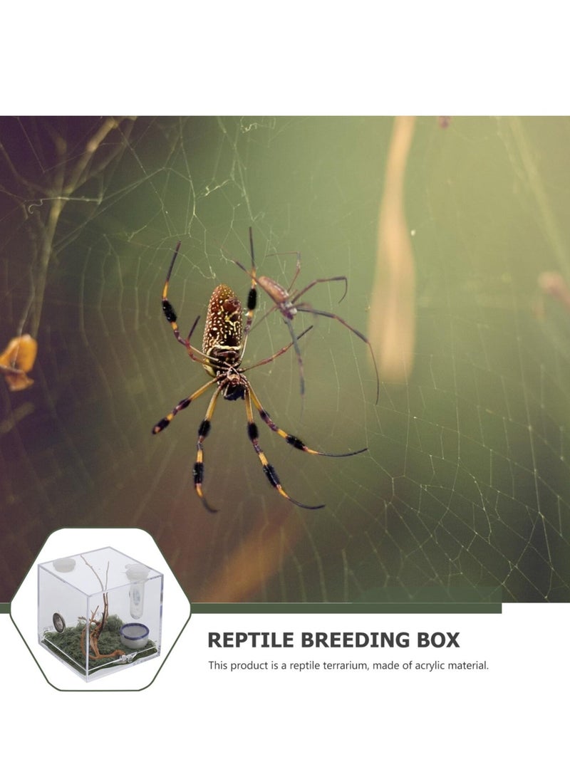 Spider Terrarium, Acrylic Reptile Breeding Box Jumping Spider Enclosure with Dropper Tongs for Tarantula Scorpion Sling Isopods Snake Gecko