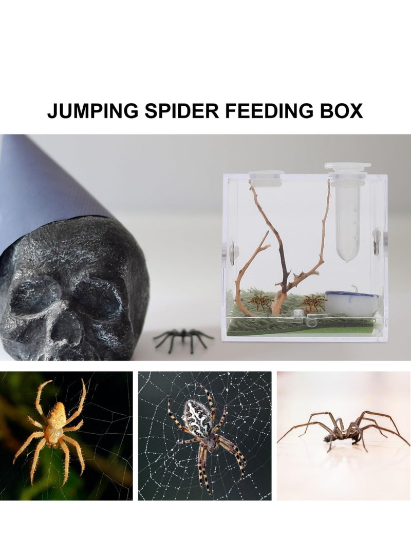 Spider Terrarium, Acrylic Reptile Breeding Box Jumping Spider Enclosure with Dropper Tongs for Tarantula Scorpion Sling Isopods Snake Gecko