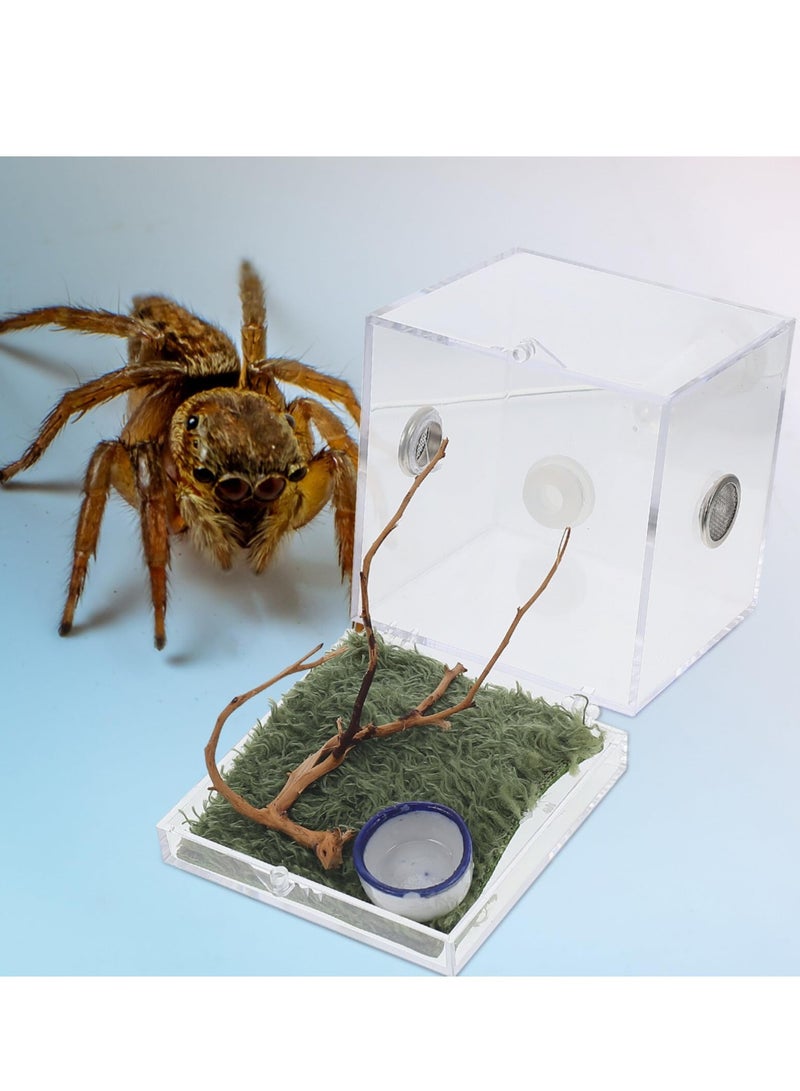 Spider Terrarium, Acrylic Reptile Breeding Box Jumping Spider Enclosure with Dropper Tongs for Tarantula Scorpion Sling Isopods Snake Gecko