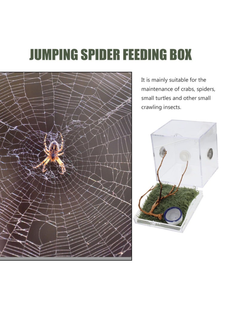 Spider Terrarium, Acrylic Reptile Breeding Box Jumping Spider Enclosure with Dropper Tongs for Tarantula Scorpion Sling Isopods Snake Gecko