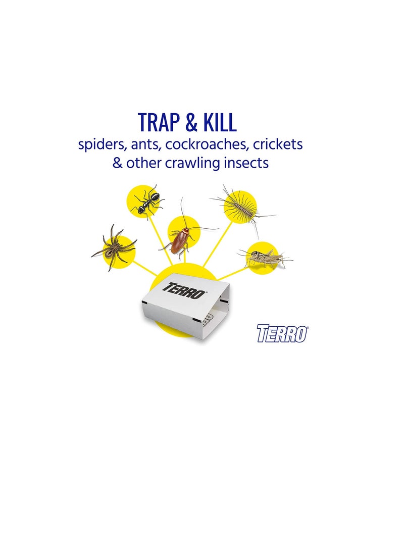 Terro Spider and Insect Trap, Clear, Multicolor