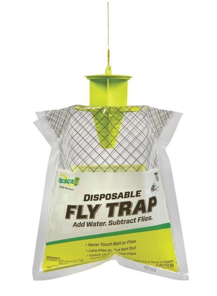 Disposable Fly Trap Sterling